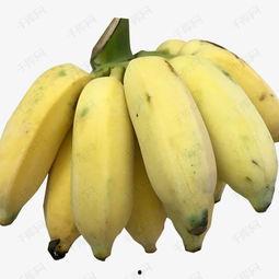 精品成人香蕉